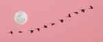 Fim do expediente II / End of the working day II