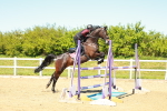 SBM_001338