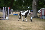 WJ6_8109