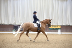 SBM_002064