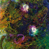 ENTROPY TRIPTYCH X-Xll
