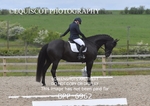 BPP_6962