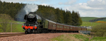 Flying Scotsman
