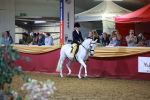 SBM_15885