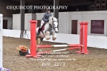 BPP_3273