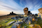 Staple Tor