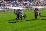 120725-Race 3-Fox Legacy-5683