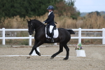 SBM_020320