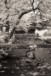 Wycoller 014