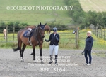 BPP_3164
