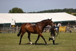 SBM_17779