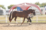 SBM_06848