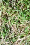 SBM_10069