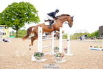 Cls 15 Foxhunter portfolio