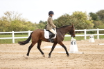 SBM_001782