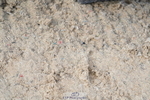 250613A-081428-00912