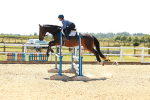 SBM_006772