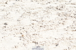 250420A-095544-00176