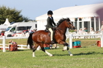 JPP_1169