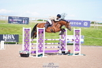 Cls 31 Snr Foxhunter portfolio