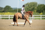SBM_007347