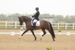 SBM_009992