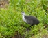 20110528-IMG_5421