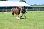 SBM_08055