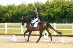 SBM_006952