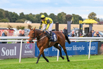 160926-Race 8-Evelyns Phoenix-2209