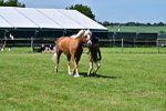 SBM_08080