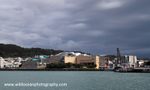 NZ029: Te Papa museum