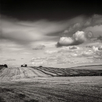 Harvesting (square format)