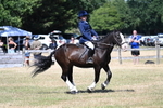 WJ7_3733