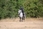 WJ6_7688