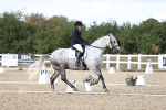 SBM_016013