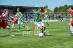 GUERNSEY FC v WHITSTABLE TOWN portfolio
