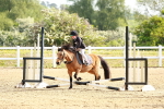 SBM_006429