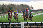 281224-Race 6-Achille Des Rocs-4870