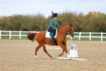 SBM_002593