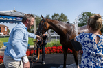 130826-Race 4-Shazani-8417