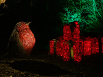 Wimpole Lights 2022-42