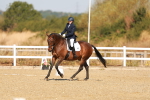 SBM_016663