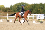 SBM_018729