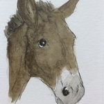 Donkey