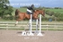 BPP_3553