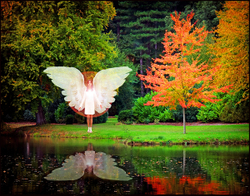 Picture Gallery portfolio