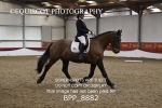 NOVICE 4 portfolio