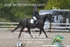 BPP_6544