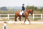 SBM_006307